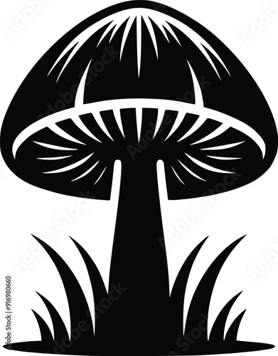 Set of different mushroom silhouettes, graphic drawing with lines, black and white cut truffle, porcini mushroom, shiitake, and chanterelles isolated. Vector illustration silhouette