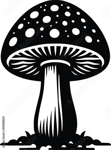 Set of different mushroom silhouettes, graphic drawing with lines, black and white cut truffle, porcini mushroom, shiitake, and chanterelles isolated. Vector illustration silhouette