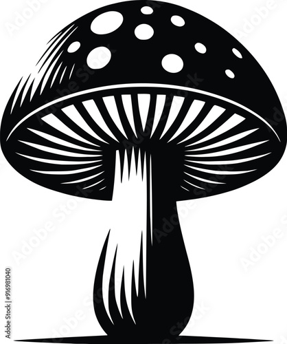 Set of different mushroom silhouettes, graphic drawing with lines, black and white cut truffle, porcini mushroom, shiitake, and chanterelles isolated. Vector illustration silhouette