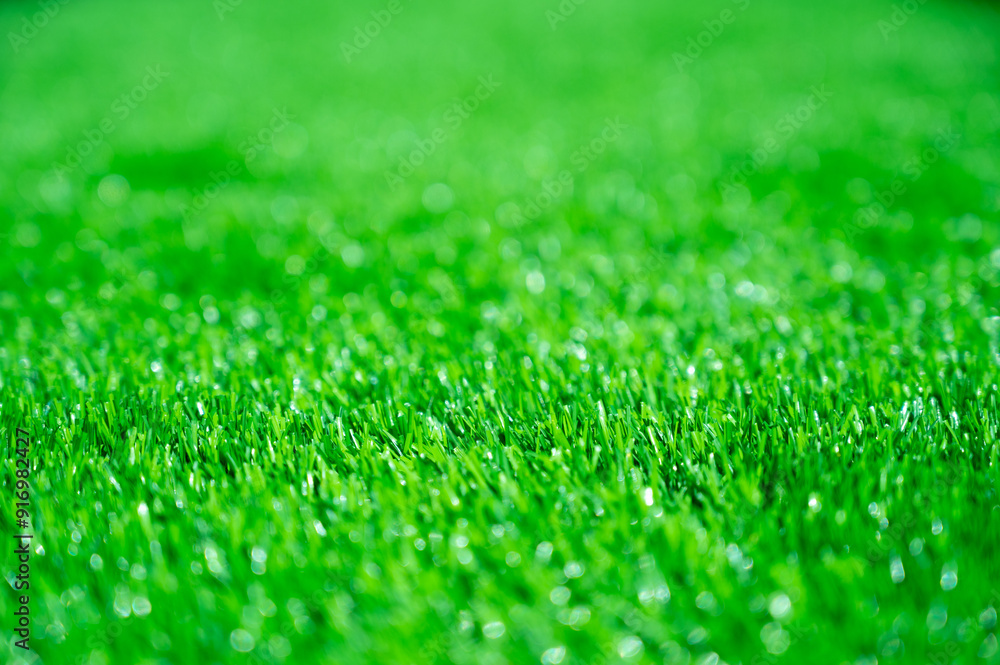 Fototapeta premium Green grass background, wallpaper