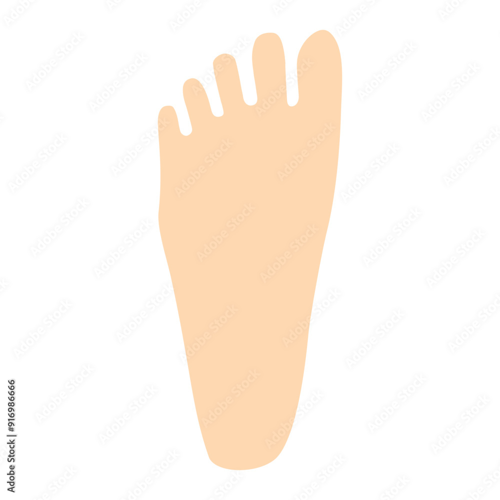 Feet Flat Icon Vector Illustration Feet Flat Icon Vector Illustration