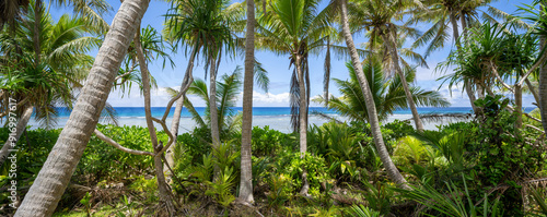 Green jungle landscape with palm trees