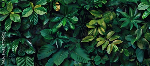 Green foliage on a stunning wallpaper The lush greens hold great significance for one s well being. Copy space image. Place for adding text and design