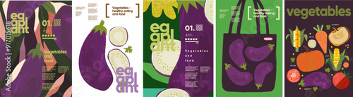 Eggplant, food and vegetables. Vector modern abstract illustration of eggplants isolated on white background, in bag and pattern for background, poster, flyer or brochure cover