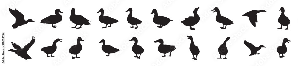 The set of the Duck silhouette collection The set of the Duck silhouette collection