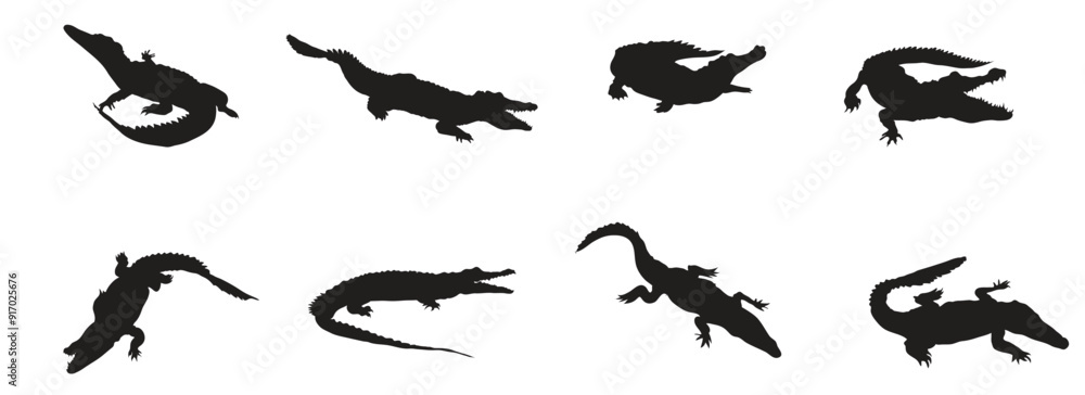 collection of crocodiles collection of crocodiles