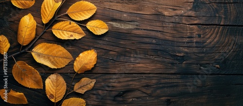 Yellow leaves are resting on a brown board providing an ideal copy space image