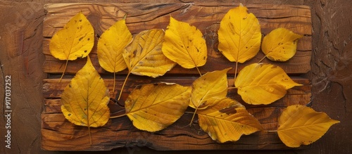 Yellow leaves are resting on a brown board providing an ideal copy space image