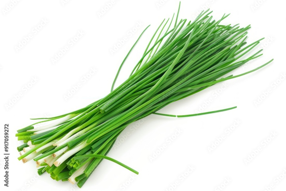 Fresh Green Chives Isolated on White Background. Fresh Green Chives Isolated on White Background.