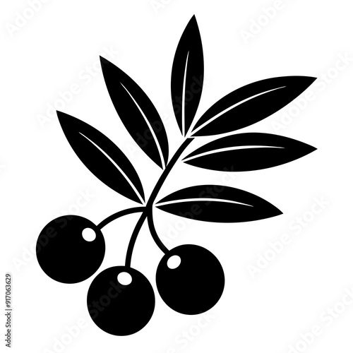 Sea buckthorn fruit silhouette vector