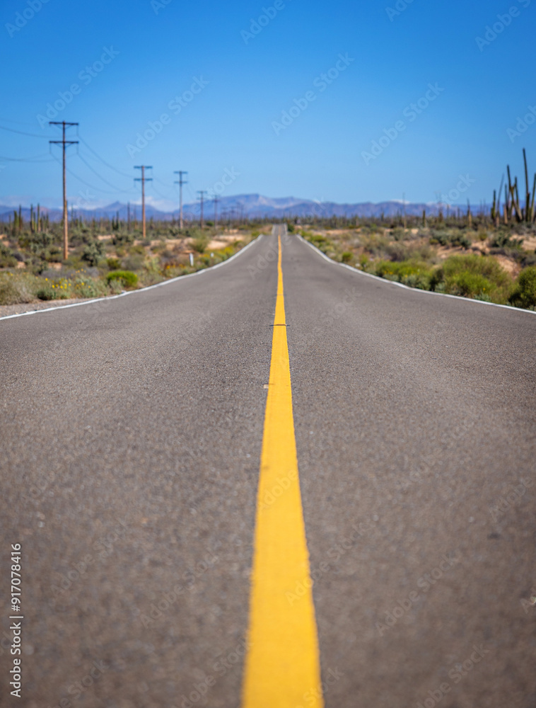 Naklejka premium Long highway in the desert of Mexico. 