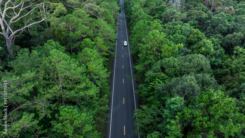 Aerial view asphalt forest road passing through the green forest tree, Forest road in the middle of the jungle green forest tree, Road in woodland outdoor adventure trip. Aerial view asphalt forest road passing through the green forest tree, Forest road in the middle of the jungle green forest tree, Road in woodland outdoor adventure trip.
