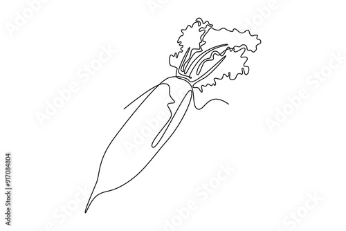 Continuous one line drawing whole healthy freshness organic white radish for farm logo identity. Fresh Japanese daikon concept for vegetable icon. Single line draw design vector graphic illustration