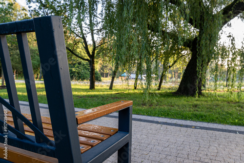 Early morning in a public park with a bench overlooking greenery