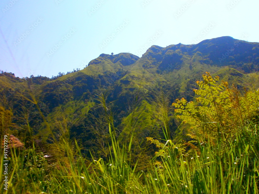 Capture the beauty of the natural world with stunning natural ...
