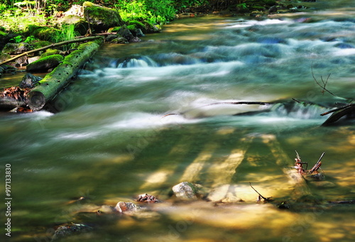 Debris In A Mountain Stream