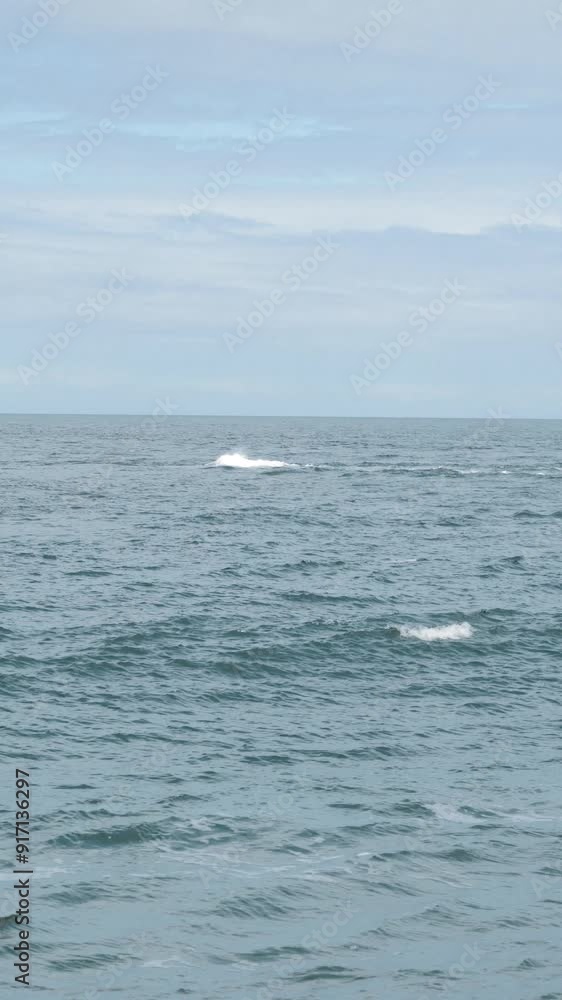 Waves in the ocean bay Waves in the ocean bay