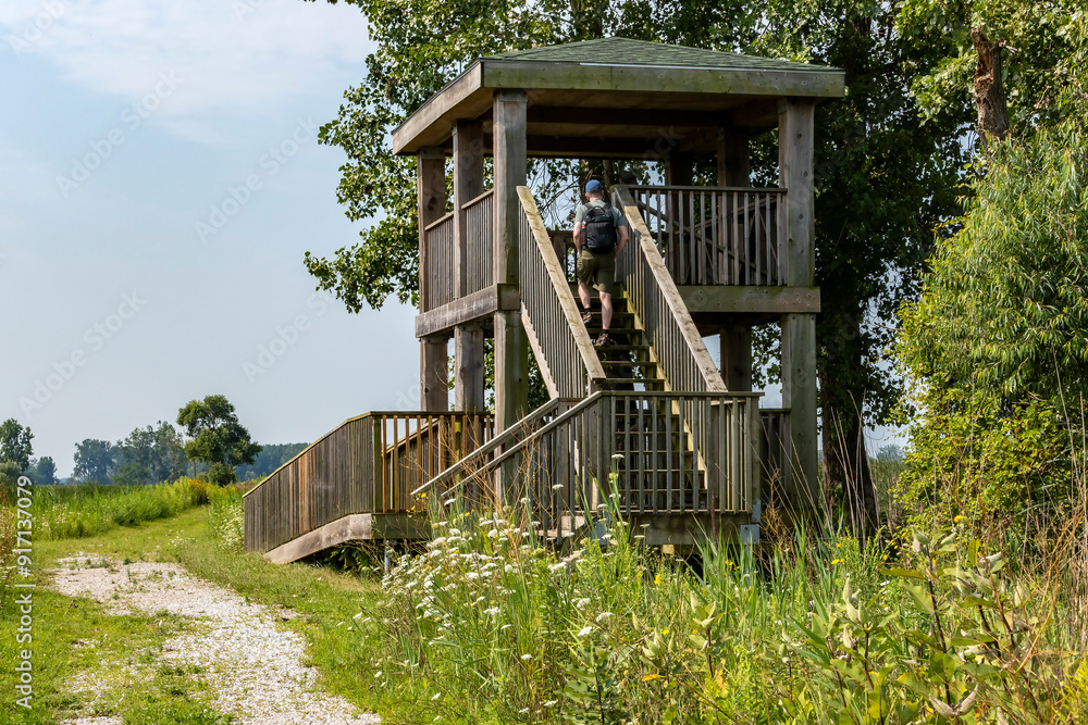A Man Walking Up the Steps of the Observation Tower at St. Clair National Wildlife Area in Chatham Ontario Canada A Man Walking Up the Steps of the Observation Tower at St. Clair National Wildlife Area in Chatham Ontario Canada