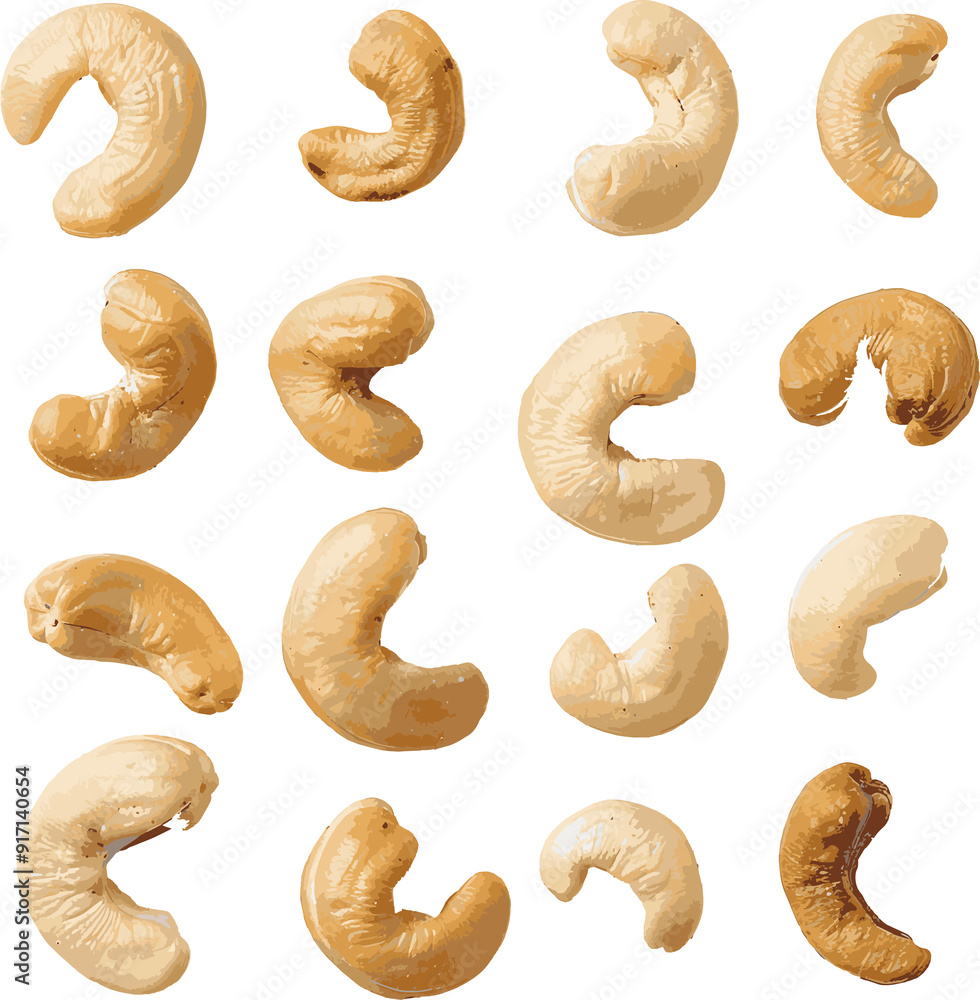 cashew nut collection cashew nut collection
