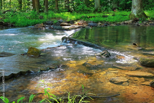 Mountain Stream Cool Refreshing Water