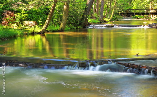 Mountain Stream On A Warm Summer Morning