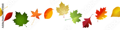 Autmn leaves seamless border. Vector