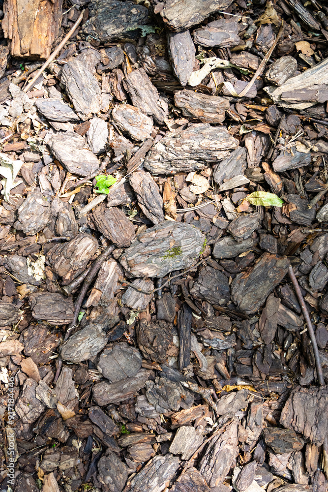 Natural Mulch Texture in a Beautifully Landscaped Area Enhances the Overall Environment Natural Mulch Texture in a Beautifully Landscaped Area Enhances the Overall Environment