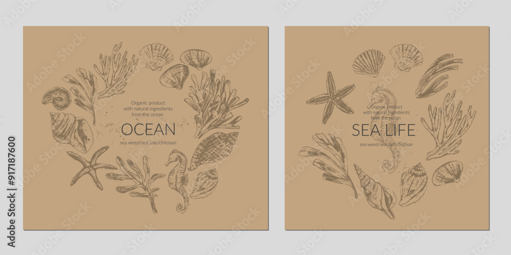 Sea liferound frame wreath background with seashells, seaweed, coral, starfish, seahorse Sea liferound frame wreath background with seashells, seaweed, coral, starfish, seahorse