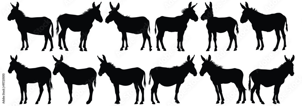 Donkey silhouette set vector design big pack of animal illustration and icon Donkey silhouette set vector design big pack of animal illustration and icon