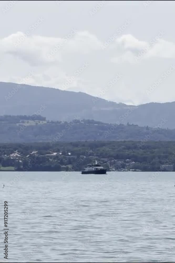 View of the mountains from the lake with swans View of the mountains from the lake with swans