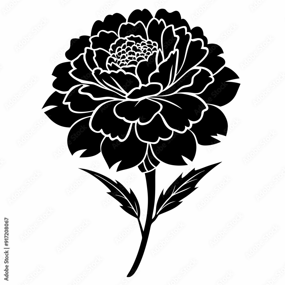 Fototapeta premium Marigold Black silhouette