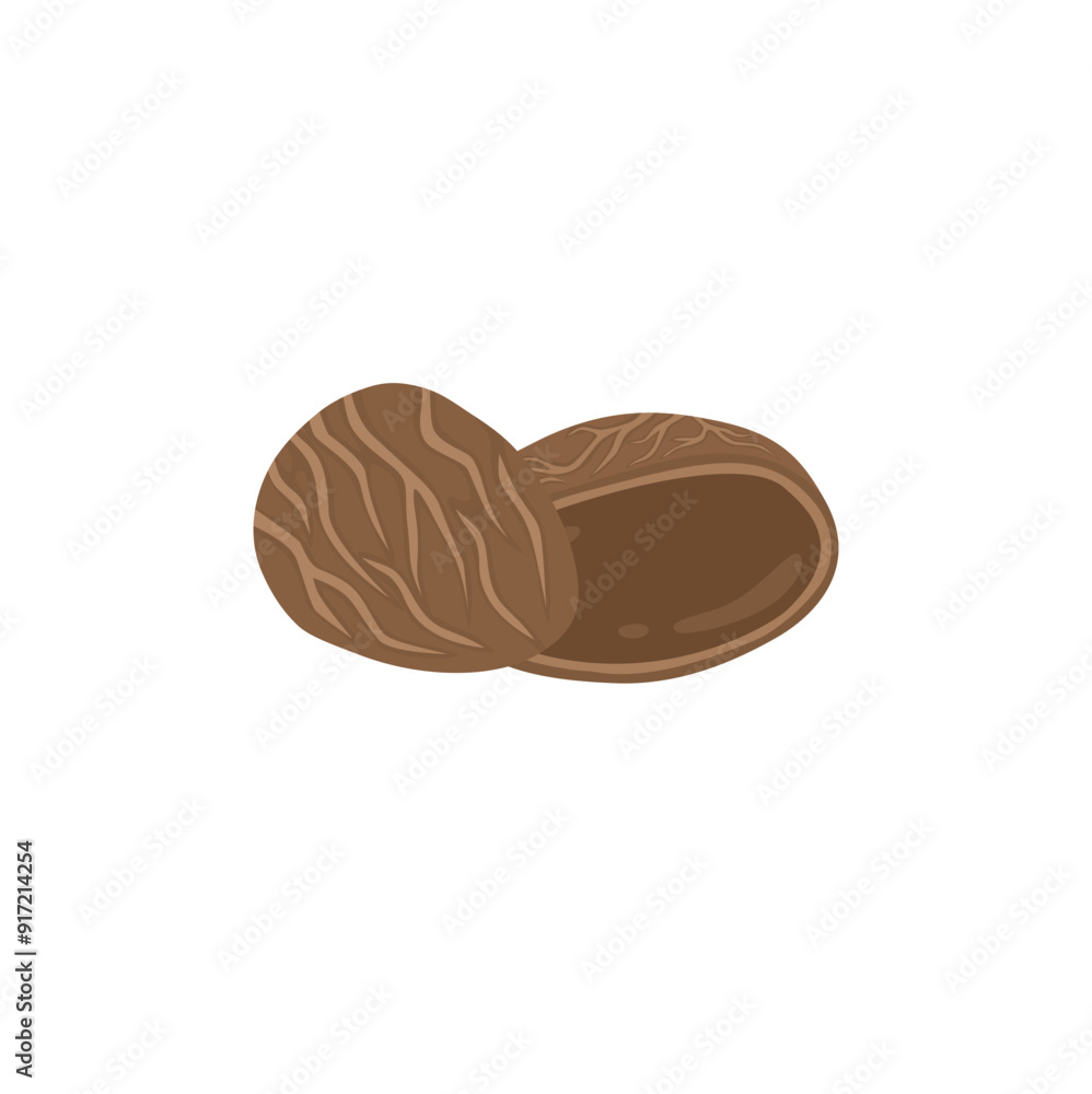 Kluwek Or Pangium Edule Illustration Kluwek Or Pangium Edule Illustration