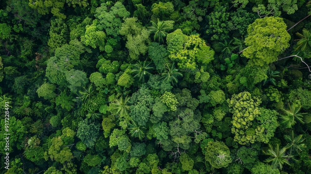 Discuss the ecological benefits of trees in forests. How do trees support biodiversity, maintain soil health, and regulate water cycles