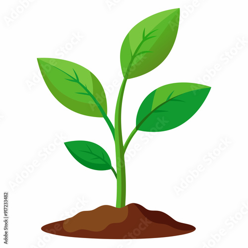 Young plant art vector illustration