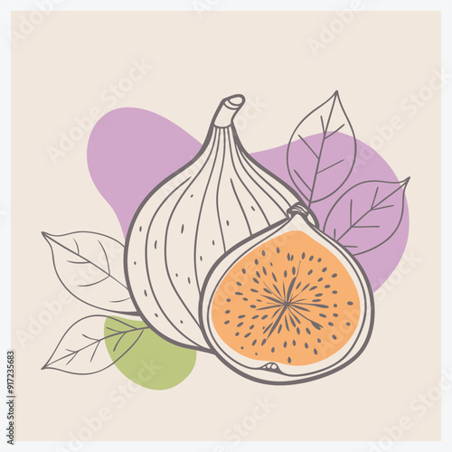 Stunning Fig Vector Illustration, Perfect for Your Design Needs