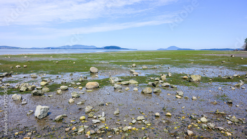 Rocky low tide at Padilla Bay National Estuarine Research Reserve with horizon  photo