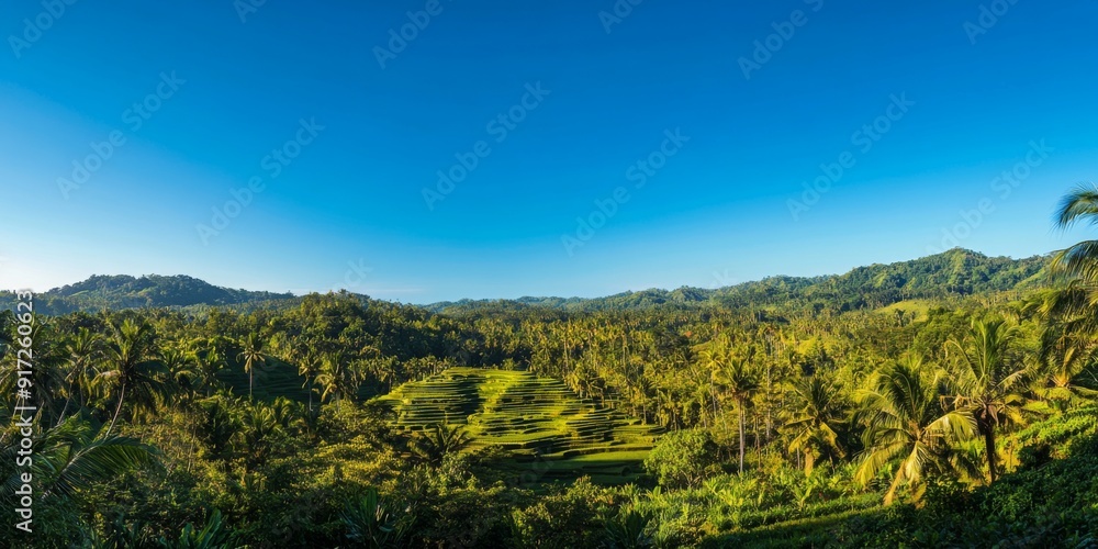 Fototapeta premium Lush Green Lombok: Pristine Tropical Forests and Terraced Rice Fields Under the Clear Indonesian Sky, Embracing the Natural Beauty of Indonesia's Landscape