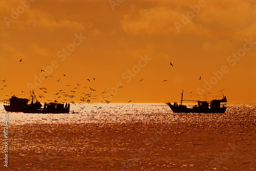 Seagulls flying over the trawl used by the two fishing boats at sunset on Angels Beach. Arraial do Cabo, RJ, Brazil, 2019 photo