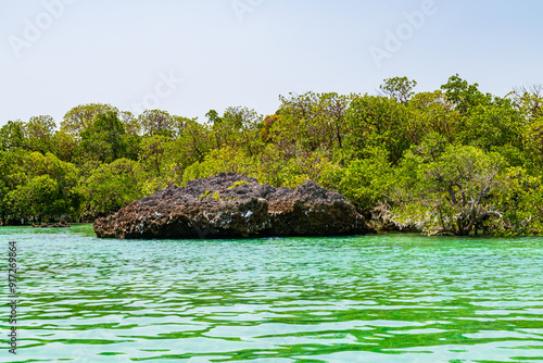 View on rocks and mangroves in the lagoon of Kwale island in south of Zanzibar, Tanzania photo