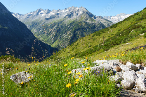 Obraz na płótnie Blick in ein Gebirgstal in den Alpen w salonie