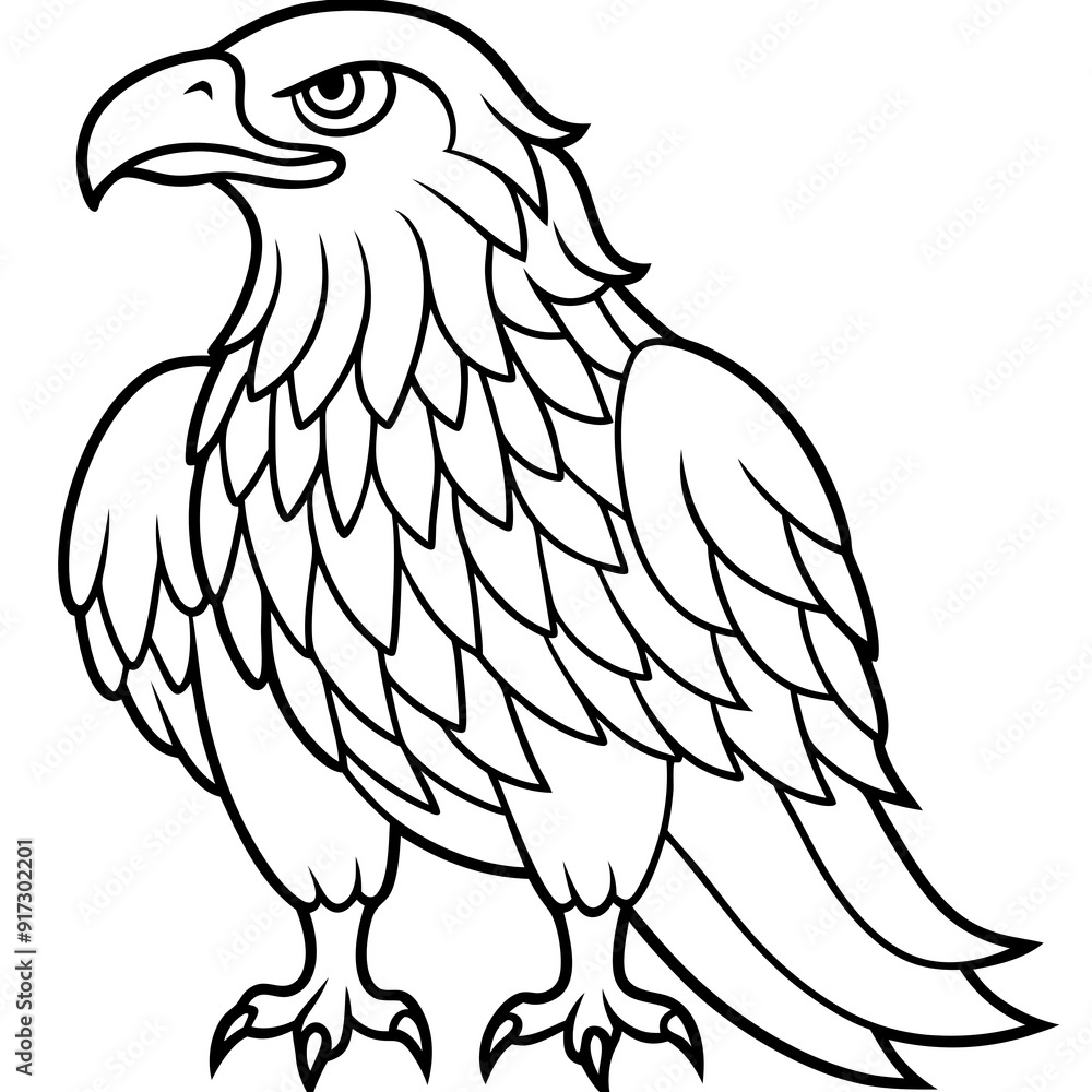 Fototapeta premium Detailed Line Art Illustration of an Eagle