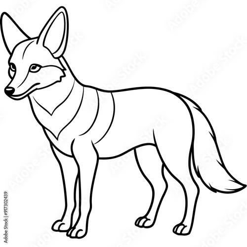 Detailed Line Art Illustration of a Jackal