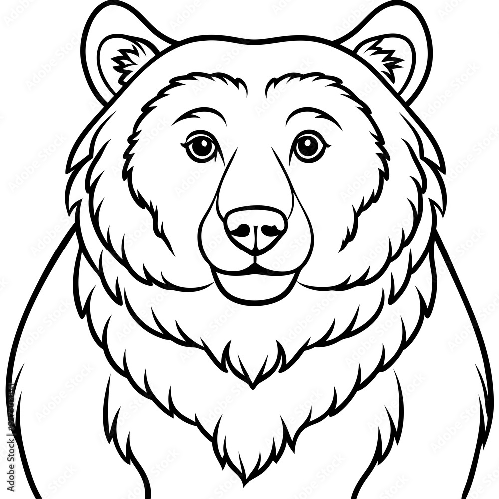 Detailed Line Art Illustration of a Bear Detailed Line Art Illustration of a Bear