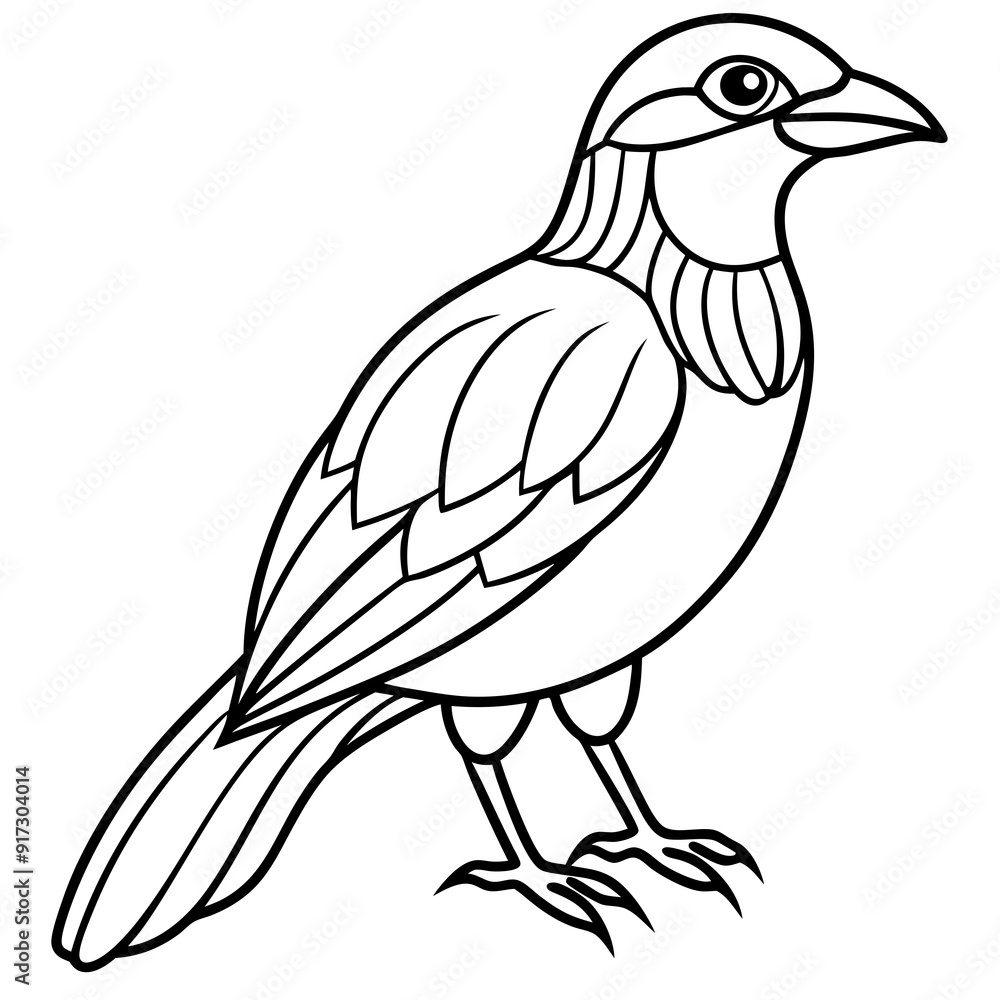 Obraz premium Detailed Line Art Illustration of a Bird