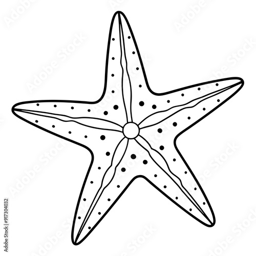 Detailed Line Art Illustration of a Starfish