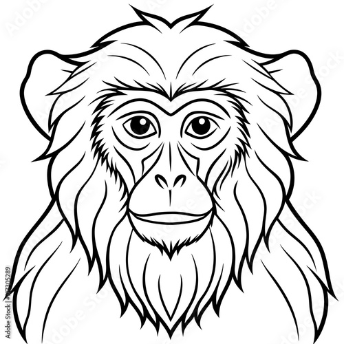 Detailed Line Art of a Macaque Monkey