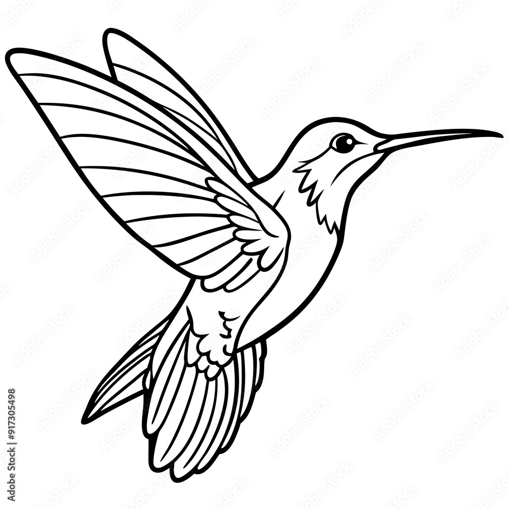 Obraz premium Detailed Line Art of a Hummingbird