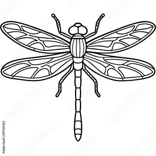 Detailed Line Art of a Dragonfly