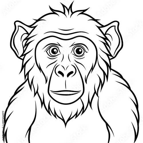 Detailed Line Art of a Macaque Monkey