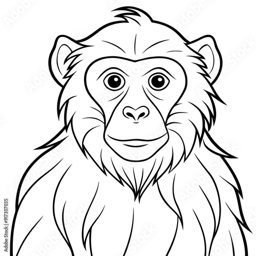 Detailed Line Art of a Macaque Monkey